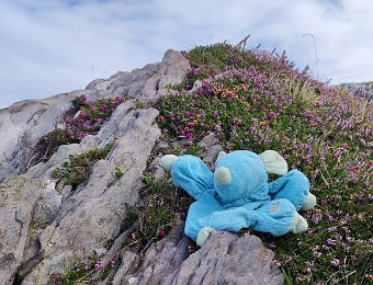 Jour 04 - Dursey Island - Lady view - Muckross Abbey - Killarney