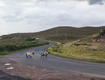 Jour 10 - Croagh Patrick - Burrishoole Abbey - Achill Island - Ballintubber Abbey